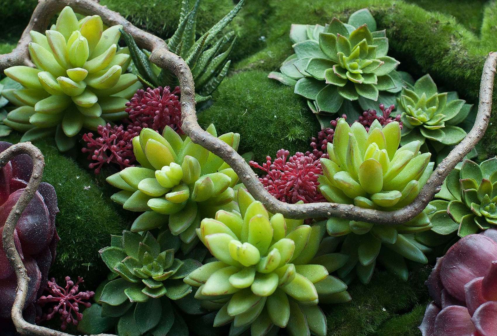 Treez Collection: Сайт-портфолио арт-директора, ux/ui и веб-дизайнера Дмитрия Зюзина